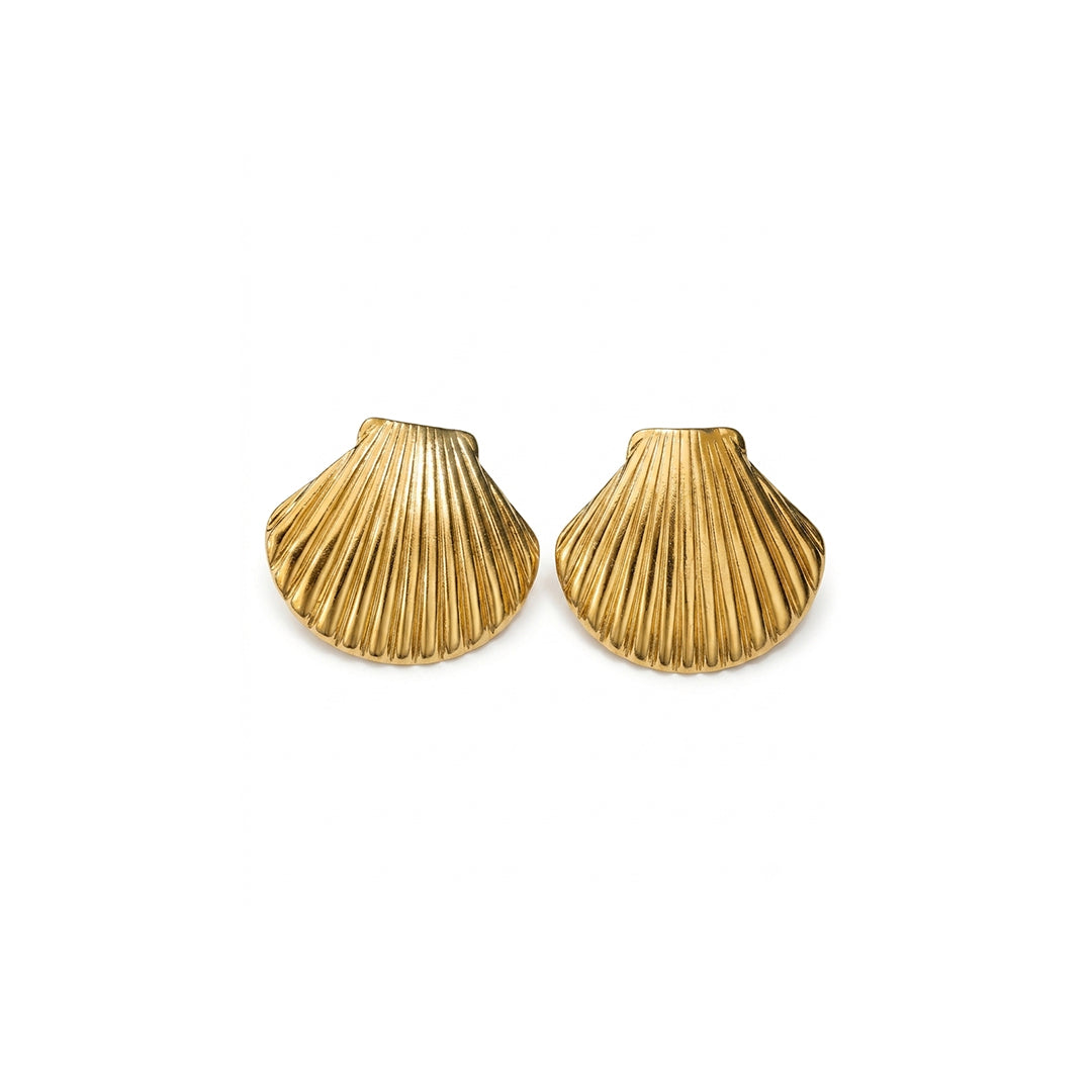 Seashell Earrings